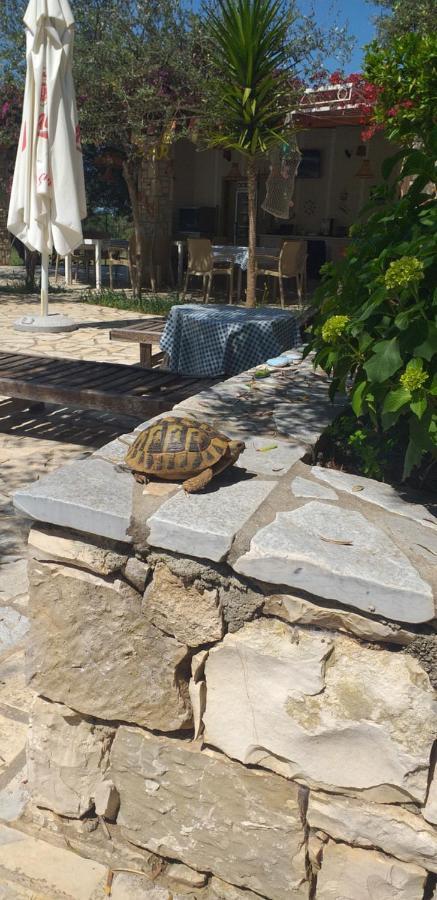 Guest House Solive Himare Luaran gambar