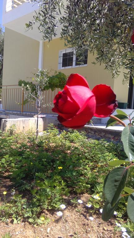 Guest House Solive Himare Luaran gambar