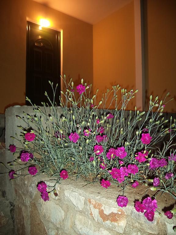 Guest House Solive Himare Luaran gambar