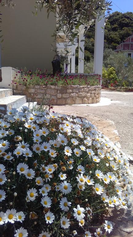 Guest House Solive Himare Luaran gambar